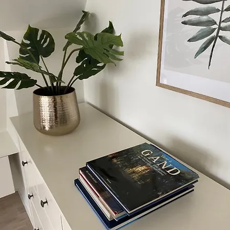 Apartamento Duplex In Historical *